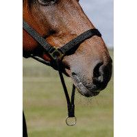 Licol Norton Educatif Noir Licol Norton Educatif Noir