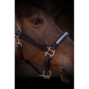 Licol Pénélope Harmonie Noir