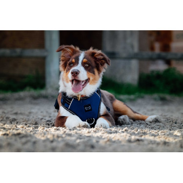 Harnais pour chien Riding World Simba Marine Bleu marine