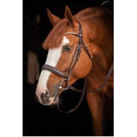 Bridon Pénélope Daily Strass SR Havane Marron Bridon Pénélope Daily Strass SR Havane Marron