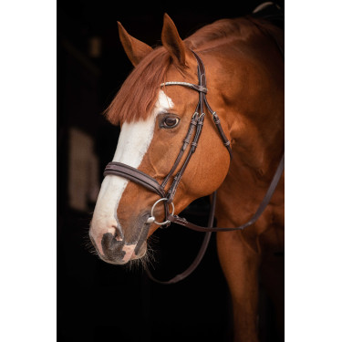 Bridon Pénélope Daily Strass SR Havane Marron