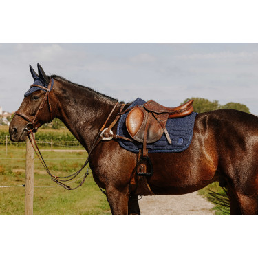 Collier de chasse Norton 5 points Havane Marron