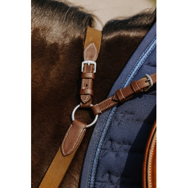 Collier de chasse Norton 5 points Havane Marron