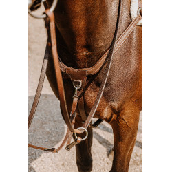 Collier de chasse Norton 5 points Havane Marron