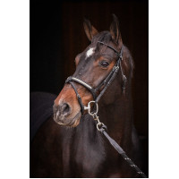 Bridon Pénélope Symphonie Noir