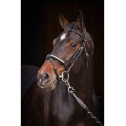 Bridon Pénélope Symphonie Noir