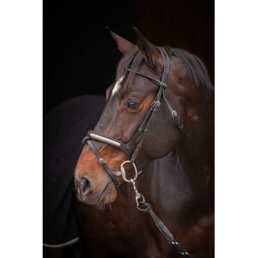 Bridon Pénélope Symphonie Noir