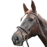 Bridon Privilege Equitation Biarritz combiné Marron