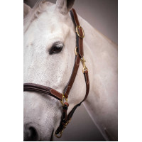 Licol cuir 3 mousquetons Paddock Sports Havane Marron