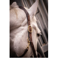 Licol cuir 3 mousquetons Paddock Sports Havane Marron