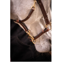 Licol cuir 3 mousquetons Paddock Sports Havane Marron