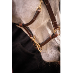 Licol cuir 3 mousquetons Paddock Sports Havane Marron