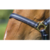 Licol nylon doublé cuir Norton Marine / ciel Bleu