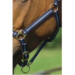 Licol nylon doublé cuir Norton Marine / ciel Bleu