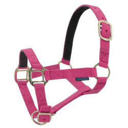 Licol nylon doublé cuir Norton