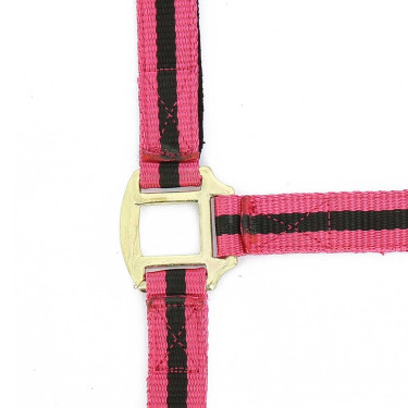 Licol nylon doublé cuir Norton