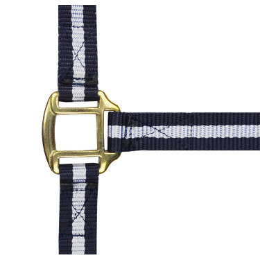 Licol nylon doublé cuir Norton Marine / blanc / bleu