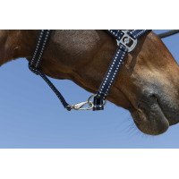 Licol Norton Grooming Bleu marine Licol Norton Grooming Bleu marine