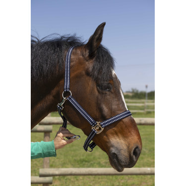 Licol Norton Grooming Bleu marine