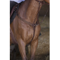 Collier de chasse élastique Norton Pro Havane Marron