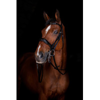 Rênes de bride Eric Thomas Elite 13 mm Noir