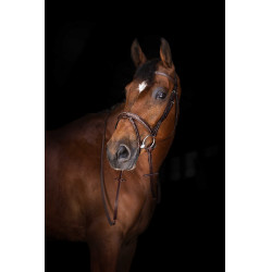 Rênes Hunter Eric Thomas Elite 16 mm Rênes Hunter Eric Thomas Elite 16 mm