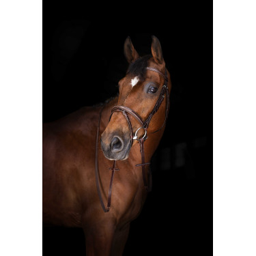 Rênes Hunter Eric Thomas Elite 16 mm Rênes Hunter Eric Thomas Elite 16 mm