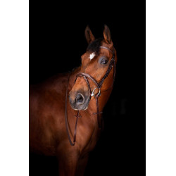 Rênes Hunter Eric Thomas Elite 16 mm Rênes Hunter Eric Thomas Elite 16 mm