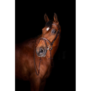 Rênes Hunter Eric Thomas Elite 16 mm Rênes Hunter Eric Thomas Elite 16 mm