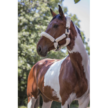 Licol Norton Full mouton synthétique Noir / écru