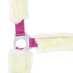 Licol Norton Full mouton synthétique Fuchsia / écru Rose