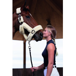 Licol Equithème Teddy Licol Equithème Teddy