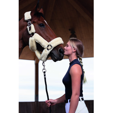 Licol Equithème Teddy Licol Equithème Teddy