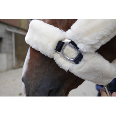 Licol Equithème Teddy Licol Equithème Teddy