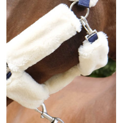 Licol Equithème Teddy Licol Equithème Teddy