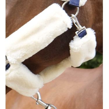 Licol Equithème Teddy Licol Equithème Teddy