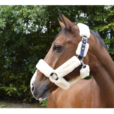 Licol Equithème Teddy Licol Equithème Teddy