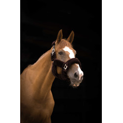 Licol Equithème Teddy Licol Equithème Teddy