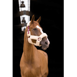 Licol Equithème Teddy Licol Equithème Teddy