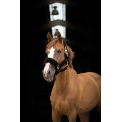 Licol Equithème Teddy Licol Equithème Teddy