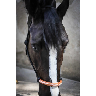 Licol éthologique Pénélope américain Noir