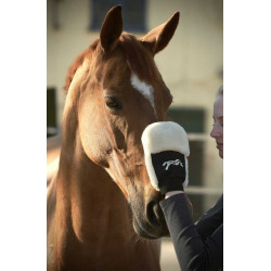 Gant de pansage Pénélope Noir