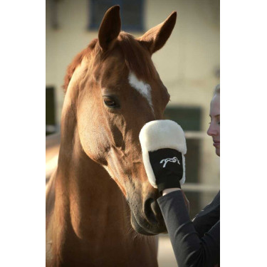 Gant de pansage Pénélope Noir