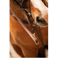 Enrênement Pénélope Howlett Havane Marron