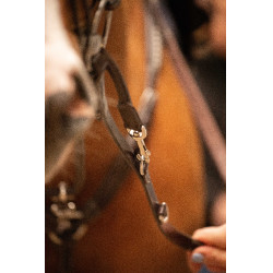 Enrênement Pénélope Howlett Havane Marron