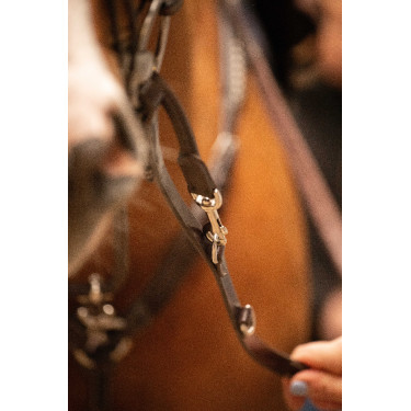 Enrênement Pénélope Howlett Havane Marron