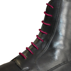 Lacets élastiques Privilege Equitation Lacets élastiques Privilege Equitation