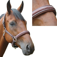 Licol Privilege Equitation Royan Marron Licol Privilege Equitation Royan Marron