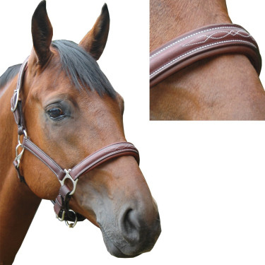 Licol Privilege Equitation Royan Licol Privilege Equitation Royan