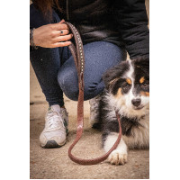 Laisse chien Pénélope Rubber Havane Marron Laisse chien Pénélope Rubber Havane Marron